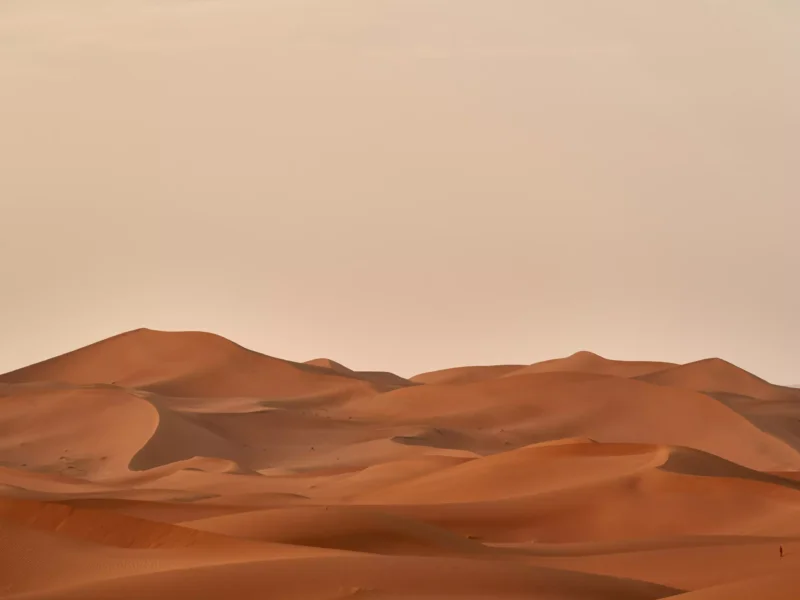 Weite Sanddünen unter einem hellen Himmel. Die Wellen des Sands erzeugen eine harmonische Landschaft in warmen, erdigen Farbtönen. Eine einsame Figur ist am Horizont sichtbar.